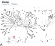 SCREW 77550031A diagram position