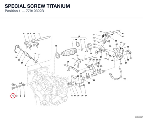 SPECIAL SCREW TITANIUM 77910392B diagram position