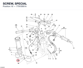 SCREW, SPECIAL 77910991A diagram position