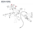 SPECIAL SCREW