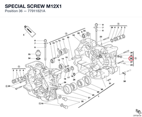 SPECIAL SCREW M12X1 77911821A diagram position