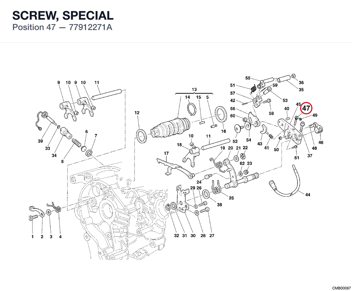SCREW, SPECIAL