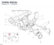 SCREW, SPECIAL