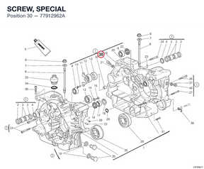 SCREW, SPECIAL 77912962A diagram position