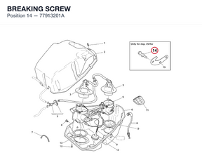 BREAKING SCREW 77913201A diagram position