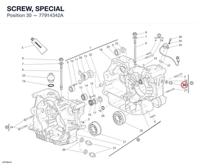 SCREW, SPECIAL 77914342A diagram position