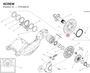 SCREW 77914881A diagram position