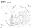SCREW 77915131A diagram position