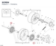 SCREW 77915521A diagram position