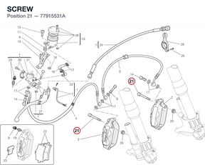SCREW 77915531A diagram position