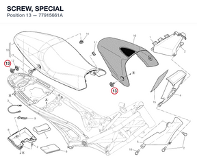 SCREW, SPECIAL 77915661A diagram position