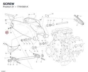 SCREW 77915681A diagram position