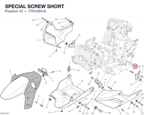 SPECIAL SCREW SHORT 77915941A diagram position