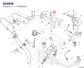 SCREW 77916031A diagram position