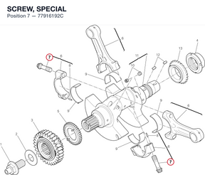SCREW, SPECIAL 77916192C diagram position