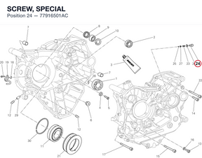 SCREW, SPECIAL 77916501AC diagram position