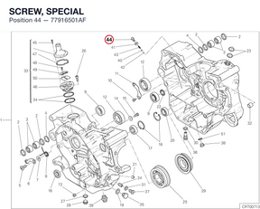 SCREW, SPECIAL 77916501AF diagram position
