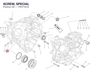 SCREW, SPECIAL 77917101A diagram position