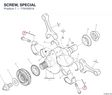 SCREW, SPECIAL 77918351A diagram position