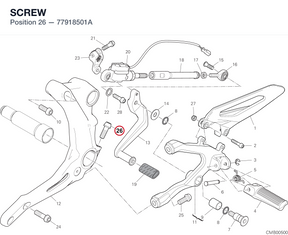 SCREW 77918501A diagram position