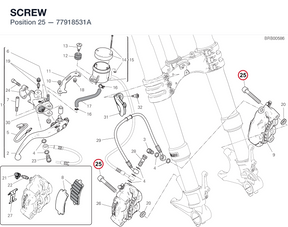 SCREW 77918531A diagram position