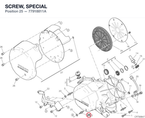 SCREW, SPECIAL 77918811A diagram position
