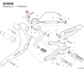 SCREW 77918841A diagram position