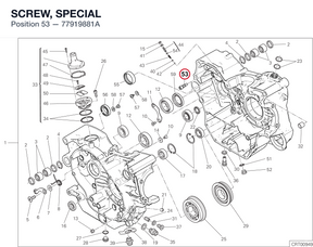 SCREW, SPECIAL 77919881A diagram position