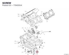SCREW 77942531A diagram position