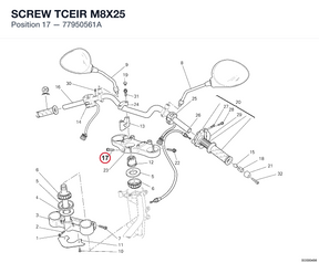 SCREW TCEIR M8X25 77950561A diagram position