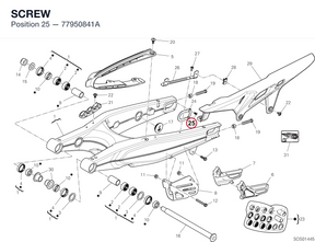 SCREW 77950841A diagram position