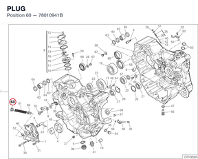 PLUG 78010941B diagram position