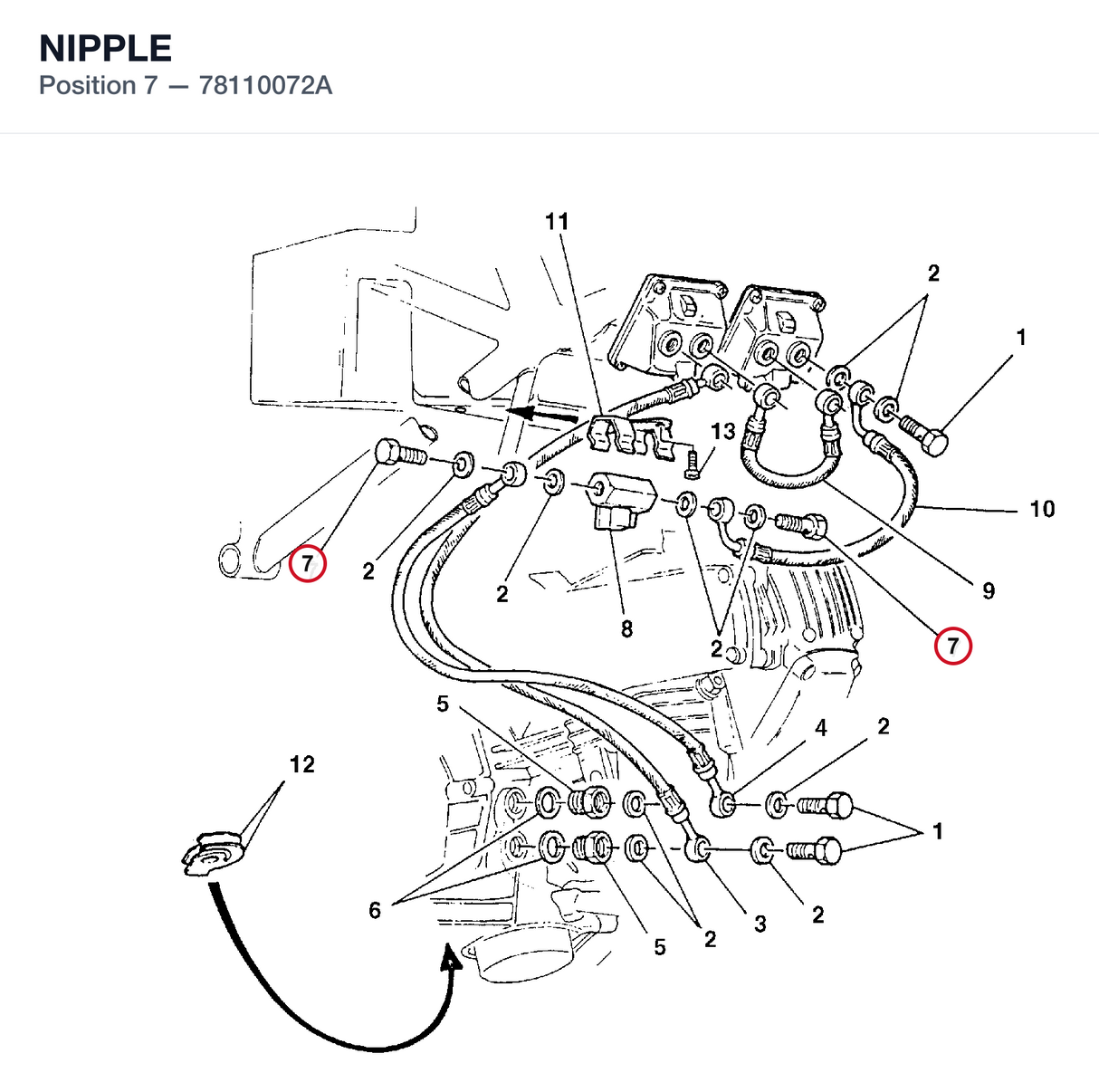 NIPPLE
