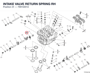 INTAKE VALVE RETURN SPRING RH 79915201A diagram position