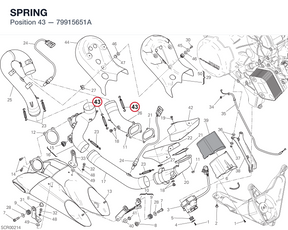 SPRING 79915651A diagram position