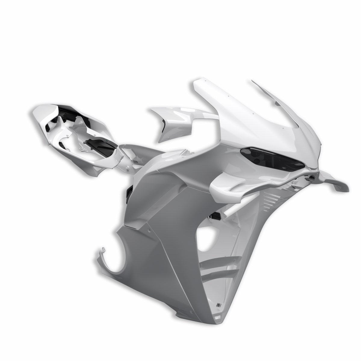Complete racing fairings (V21A)