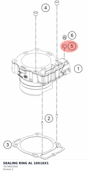 Diagram preview: SEALING RING AL 10X16X1 (76738022000)