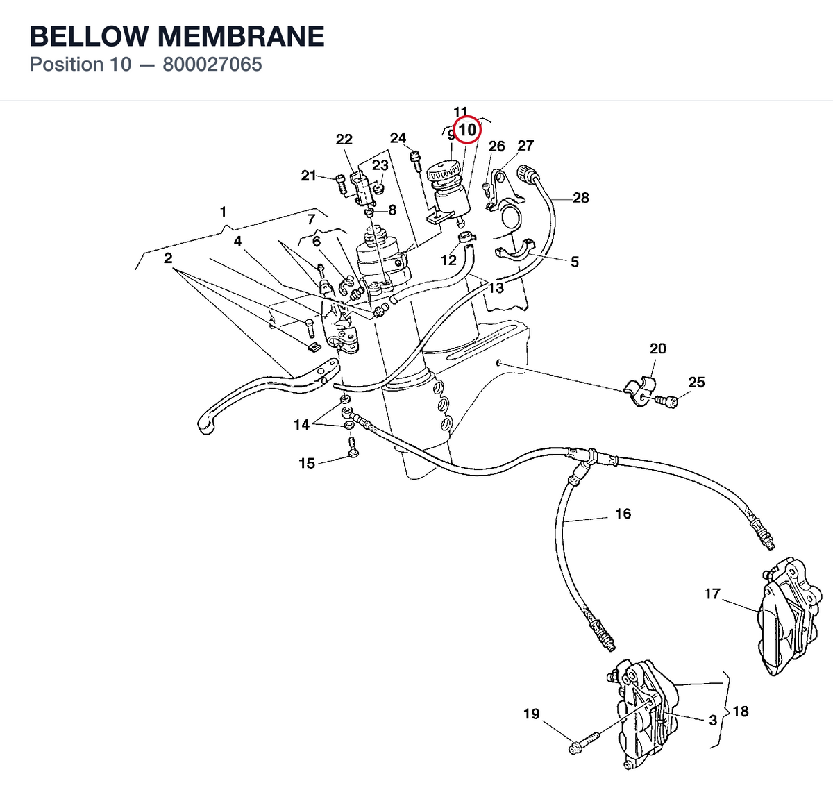 BELLOW MEMBRANE