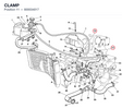 CLAMP