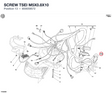SCREW TSEI M5X0.8X10 800059572 diagram position