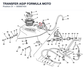 TRANSFER AGIP FORMULA MOTO 800067454 diagram position