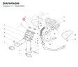 DIAPHRAGM