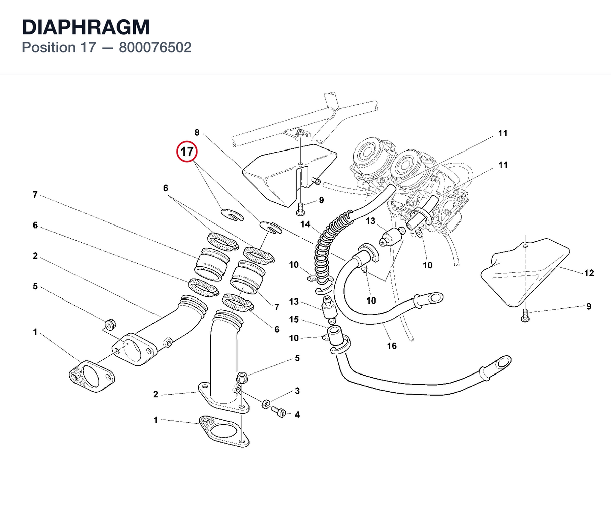 DIAPHRAGM