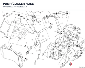 PUMP/COOLER HOSE 80010921A diagram position
