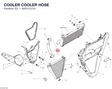 COOLER  COOLER HOSE 80012121A diagram position