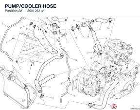 PUMP/COOLER HOSE 80012531A diagram position