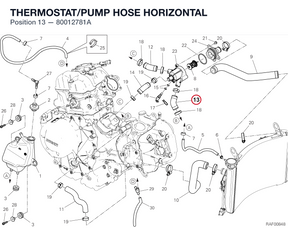 THERMOSTAT/PUMP HOSE HORIZONTAL 80012781A diagram position