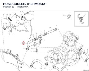 HOSE COOLER/THERMOSTAT 80017891A diagram position