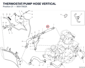 THERMOSTAT/PUMP HOSE VERTICAL 80017902A diagram position
