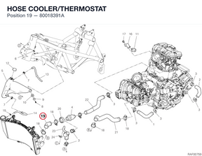 HOSE COOLER/THERMOSTAT 80018391A diagram position